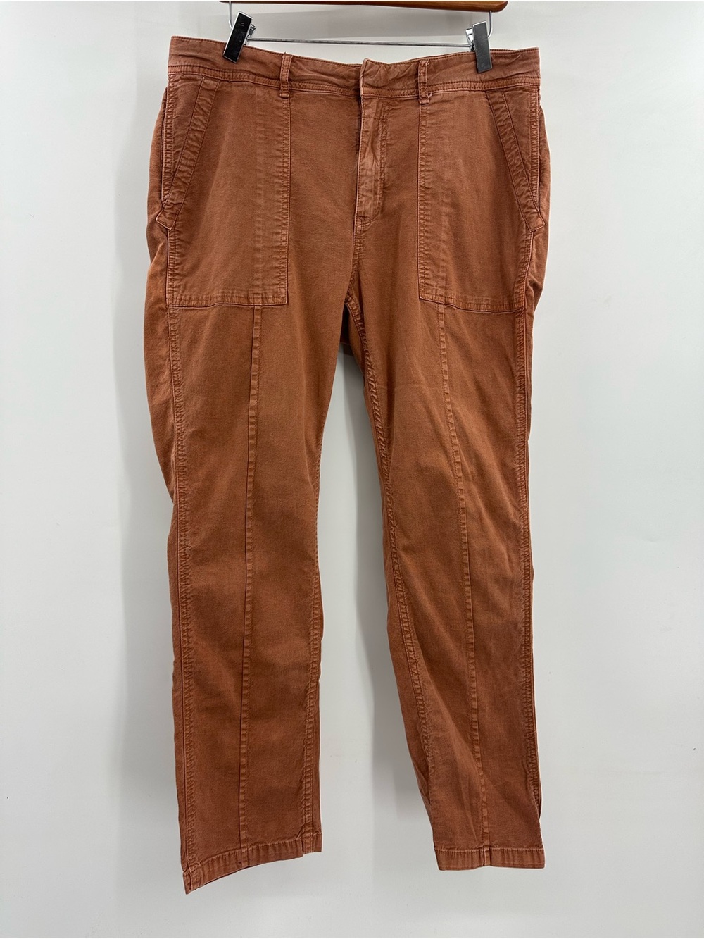 Anthropologie The Wanderer Straight-Leg Pants in Rust 32W